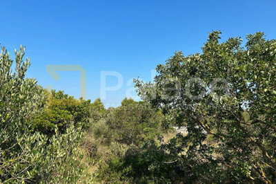gradjevinsko-zemljiste-povrsine-7430-m2-na-brodarici_2