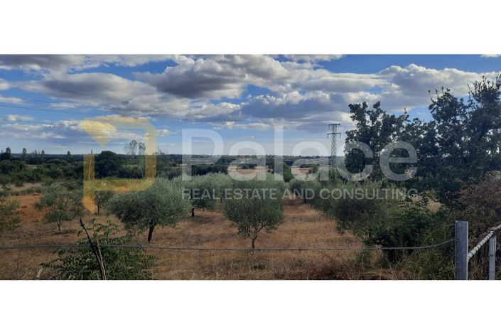Image No.3-Plot for sale
