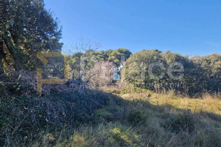 Image No.10-Plot for sale