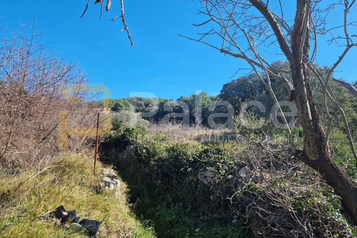 Image No.4-Plot for sale