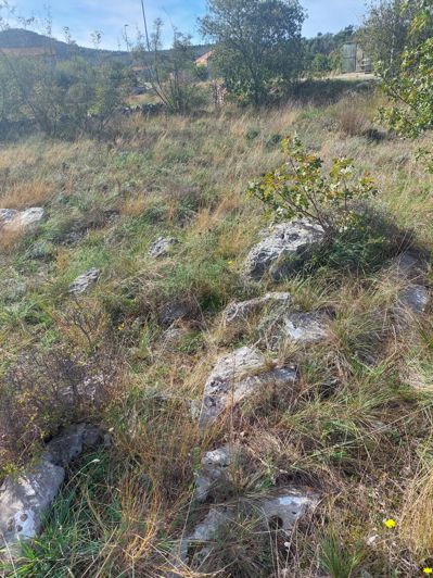 Image No.2-Plot for sale