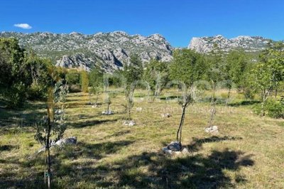 na-prodaju-zemljiste-na-mirnoj-lokaciji-opcina-starigrad_2