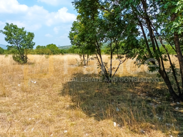 gradjevinsko-zemljiste-prugovo-800-m2_2