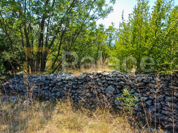 gradjevinsko-zemljiste-prugovo-800-m2_5