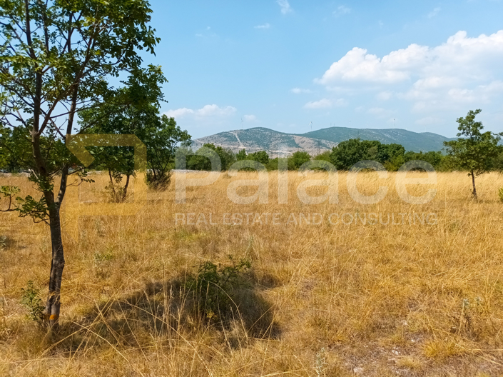 Image No.6-Plot for sale