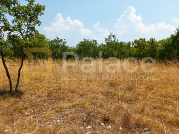 gradjevinsko-zemljiste-prugovo-800-m2_8