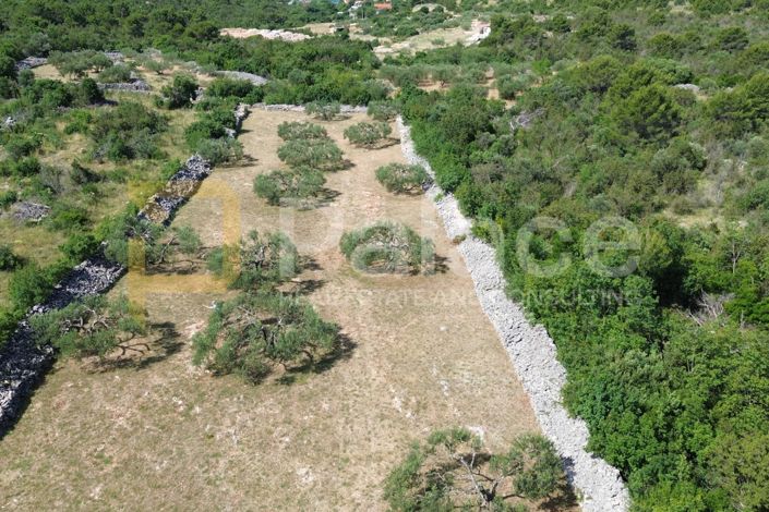 Image No.3-Land for sale