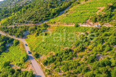 vinograd-s-pogledom-na-more-i-otoke-peljesac-dingac_1