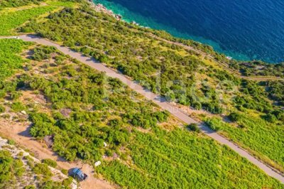 vinograd-s-pogledom-na-more-i-otoke-peljesac-dingac_11