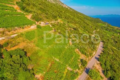 vinograd-s-pogledom-na-more-i-otoke-peljesac-dingac_13