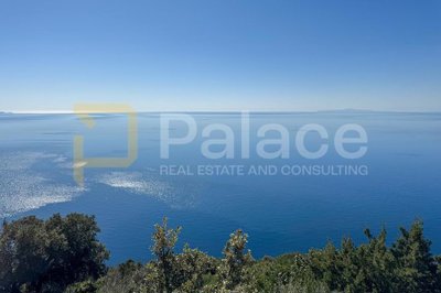 vinograd-s-pogledom-na-more-i-otoke-peljesac-dingac_2