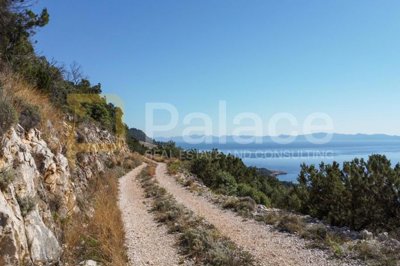 vinograd-s-pogledom-na-more-i-otoke-peljesac-dingac_8