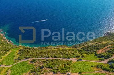 vinograd-s-pogledom-na-more-i-otoke-peljesac-dingac_9