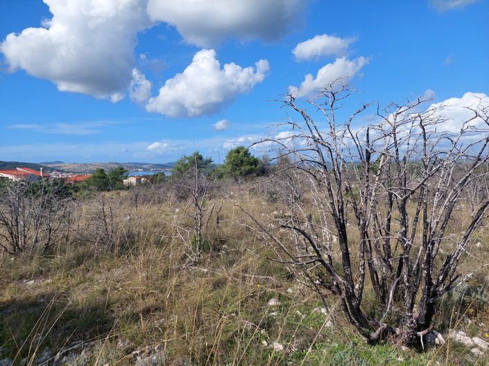 Image No.3-Plot for sale