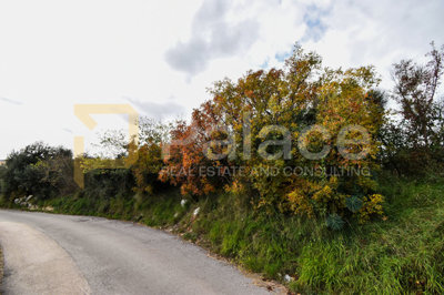 gradjevinsko-zemljiste-plano-1298-m2_2