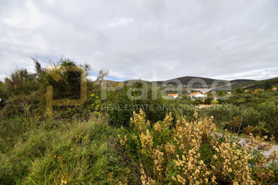 gradjevinsko-zemljiste-plano-1298-m2_4