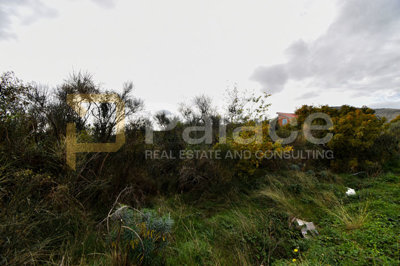 gradjevinsko-zemljiste-plano-1298-m2_5