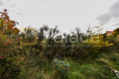 gradjevinsko-zemljiste-plano-1298-m2_6
