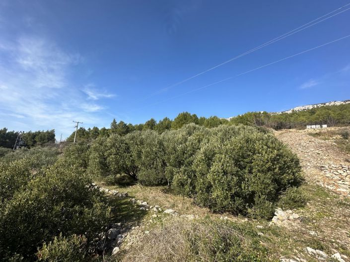 Image No.2-Plot for sale