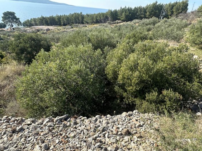 Image No.3-Plot for sale