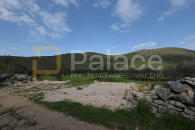 uredjen-i-obradjivan-maslinik-sa-25-maslina-u-pirovcu-1382_14