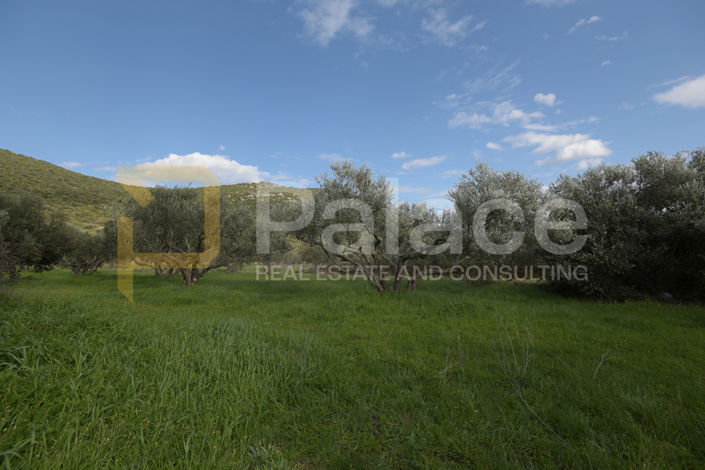 Image No.17-Land for sale