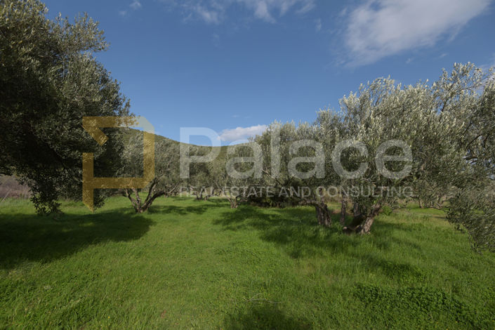 Image No.2-Land for sale