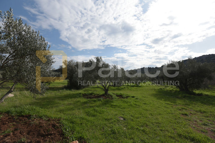 Image No.4-Land for sale
