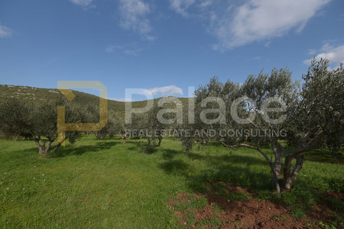 Image No.7-Land for sale
