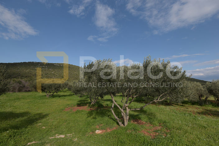Image No.8-Land for sale