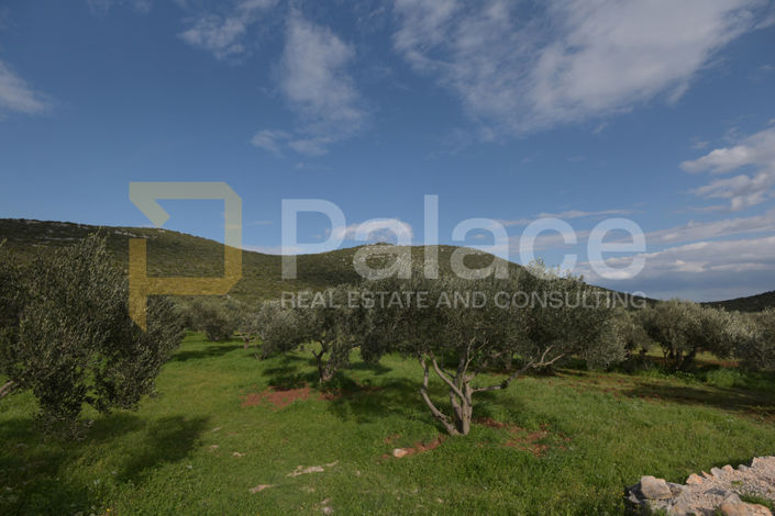 Image No.9-Land for sale