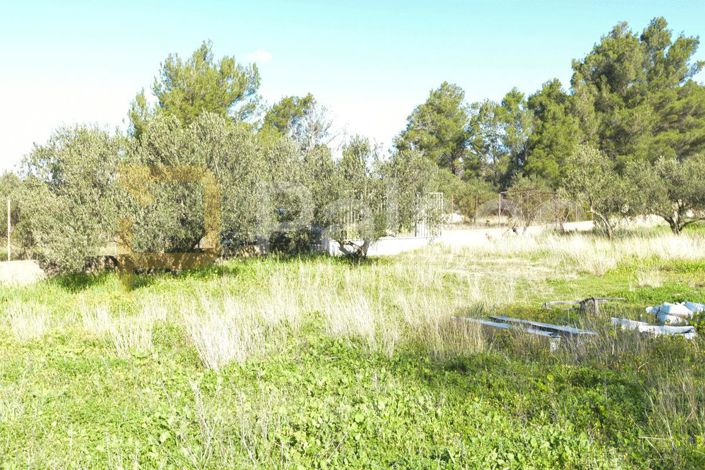 Image No.2-Plot for sale