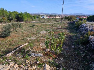 gradjevinsko-zemljiste-vodice-649-m2_7