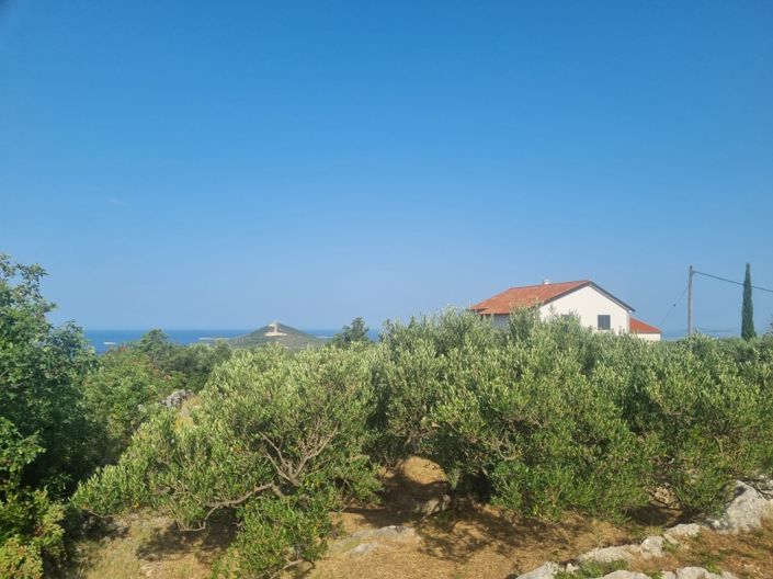 Image No.2-Plot for sale