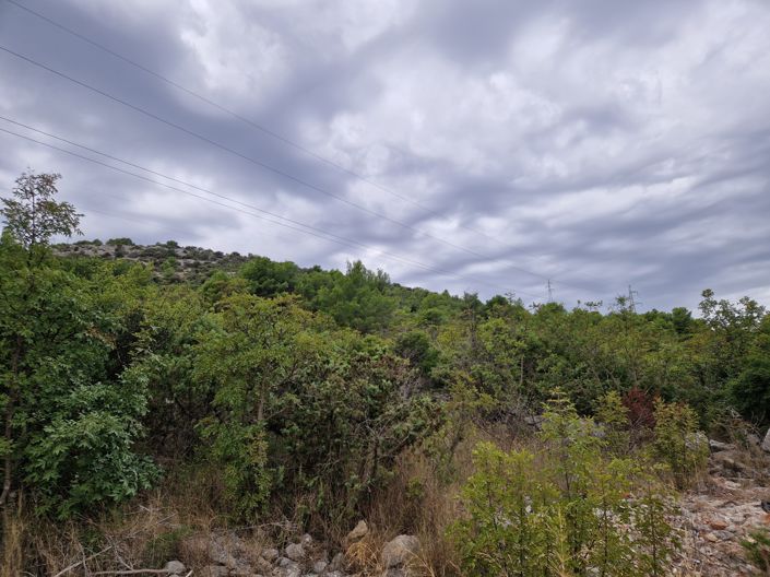 Image No.4-Land for sale