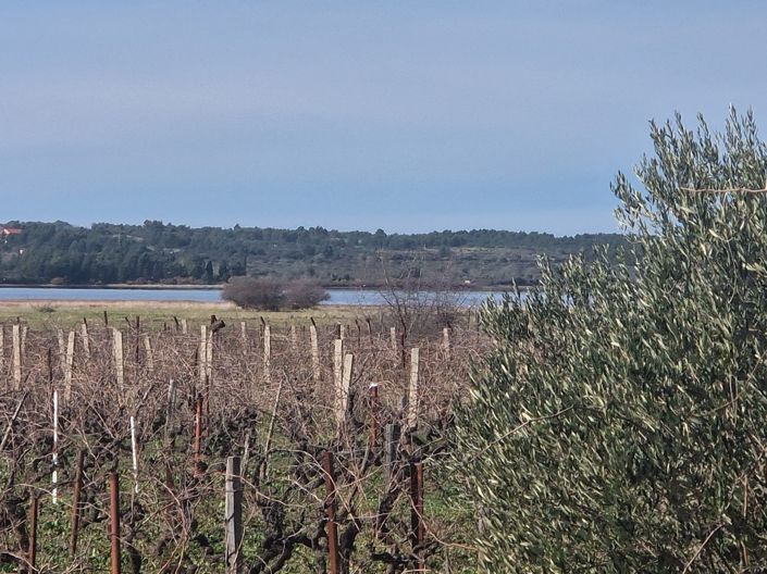 Image No.2-Land for sale