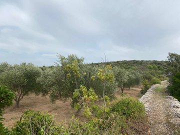 poljoprivredno-zemljiste-povrsine-3674-m2-u-zupanovicima_2