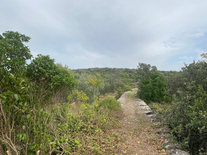 Image No.3-Land for sale