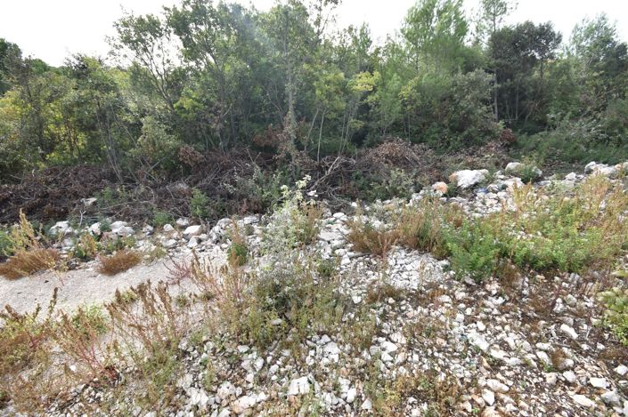 Image No.2-Plot for sale