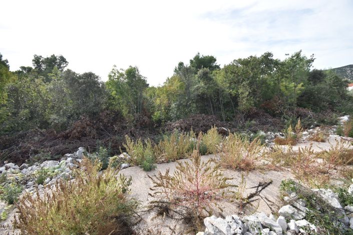 Image No.3-Plot for sale