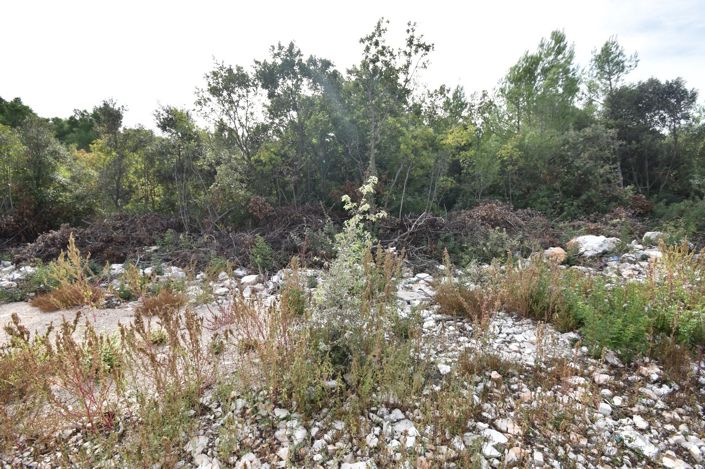 Image No.4-Plot for sale