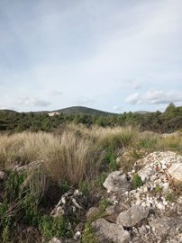 na-prodaju-poljoprivredno-zemljiste-u-marini-4264-m_5