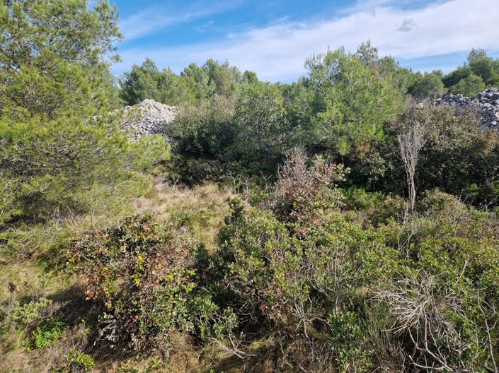 Image No.2-Plot for sale