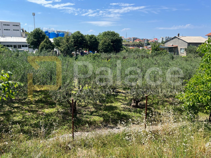 Image No.3-Plot for sale