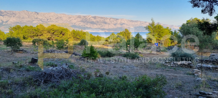 Image No.2-Plot for sale