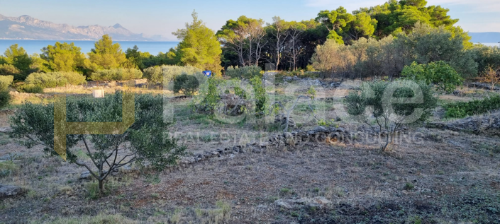 Image No.4-Plot for sale
