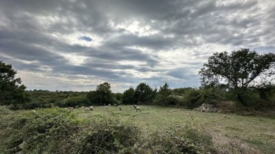 gradjevinsko-zemljiste-dracevac-ninski-1074m2_2
