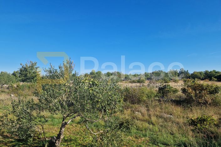 Image No.4-Plot for sale