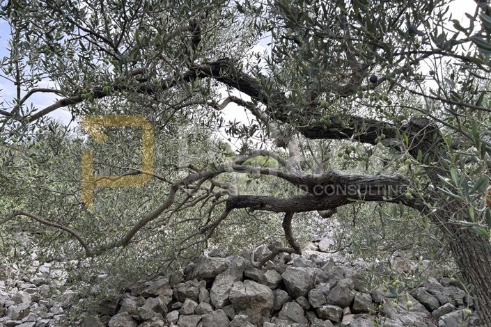 Image No.2-Land for sale