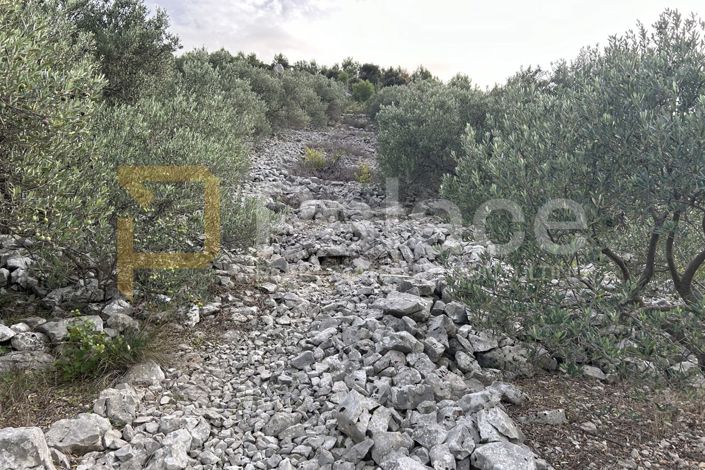 Image No.4-Land for sale